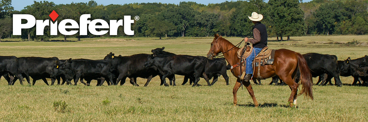 Priefert® Ranch & Rodeo Equipment: By Ranchers for Ranchers
