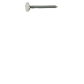 7/8" Smooth Shank Electrogalvanized Roofing Nail 5LB