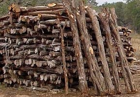 Shop 7 X 4 2 Bark On Cedar Post At Mccoy S