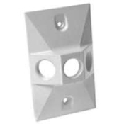 Hubbell 5189-1 Cluster Cover, 4-19/32 In L, 2-27/32 In W, Rectangular, Zinc