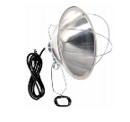 300W Brooder Clamp Lamp with 10" Reflector & Guard