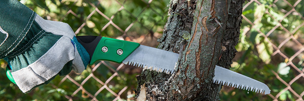 What's the Difference Between Tree Trimming and Pruning?