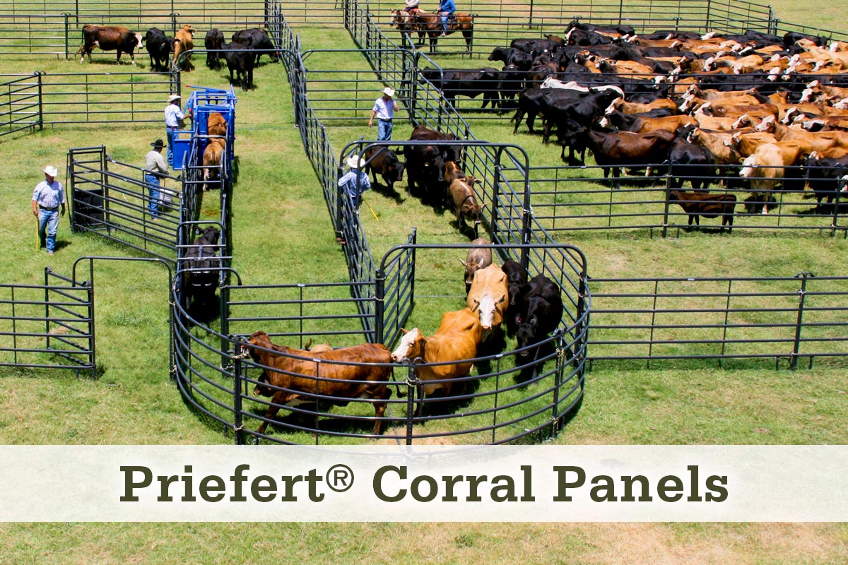 Priefert® Corral Panels at McCoy's Building Supply