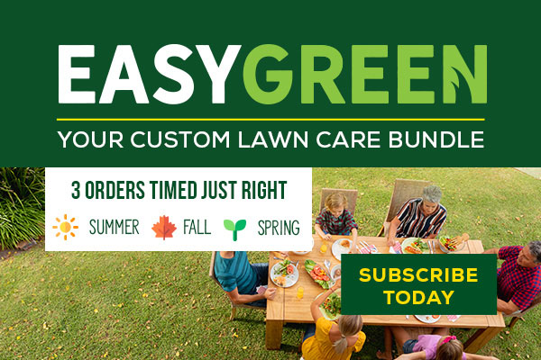 EasyGreen_Hero_mobile_Adjusted.jpg