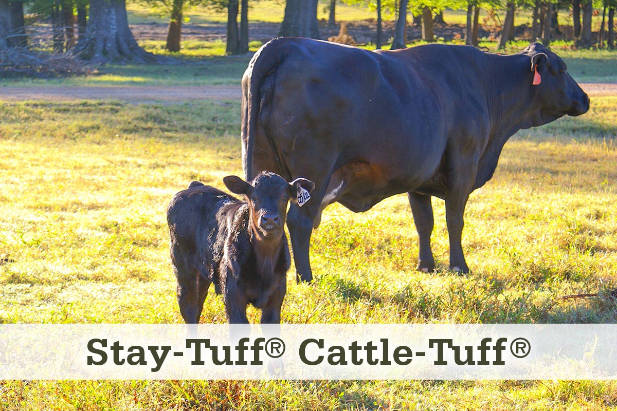 Stay-Tuff Cattle-Tuff Fencing