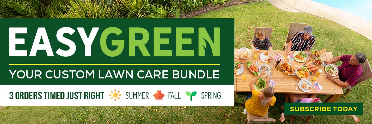 EasyGreen Summer Sub