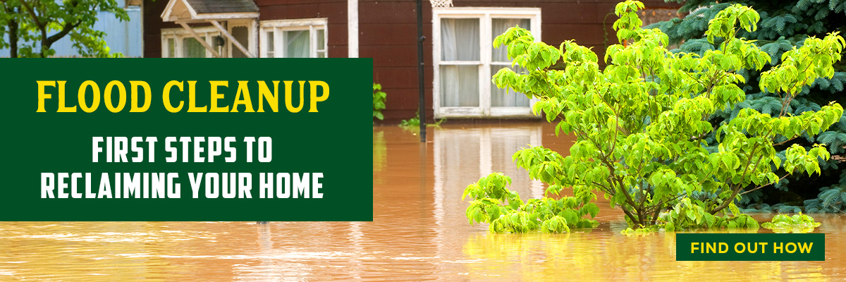 Hero_FloodRec.jpg