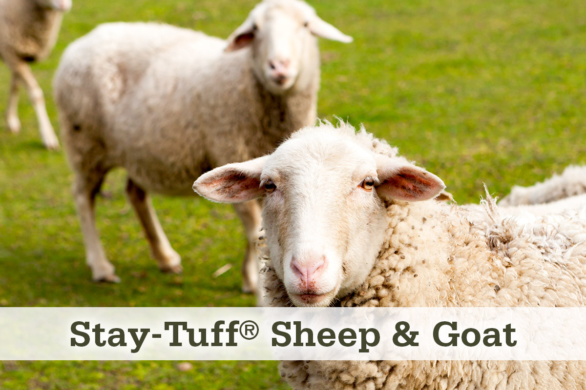 Stay-Tuff Sheep & Goat Fencing