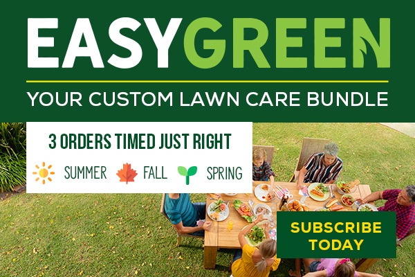 EasyGreen Summer Sub