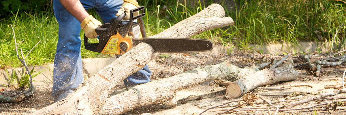 Gas vs. Electric Chainsaw: Which One for Your Project