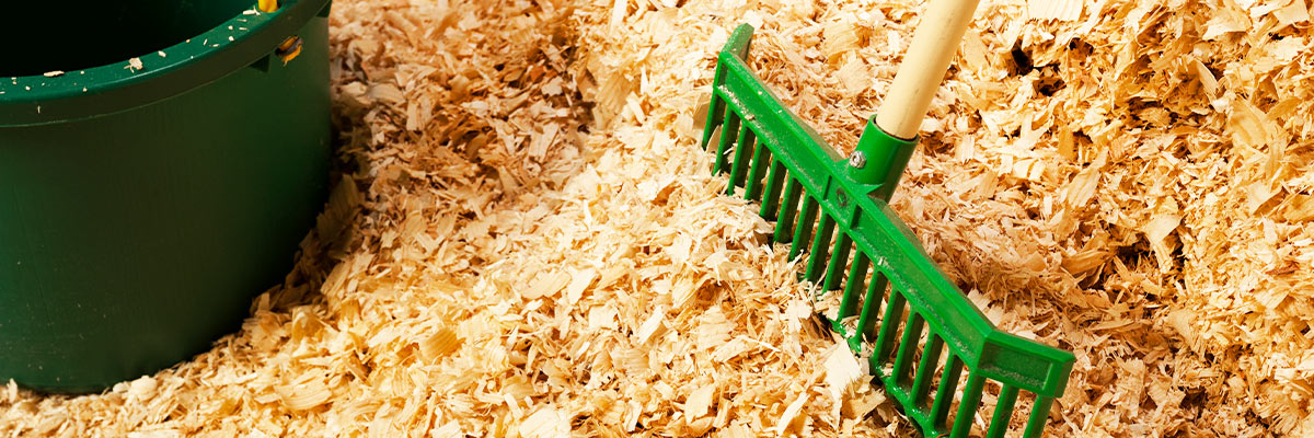 8 Useful ways to Use Wood Shavings on a Farm or Ranch