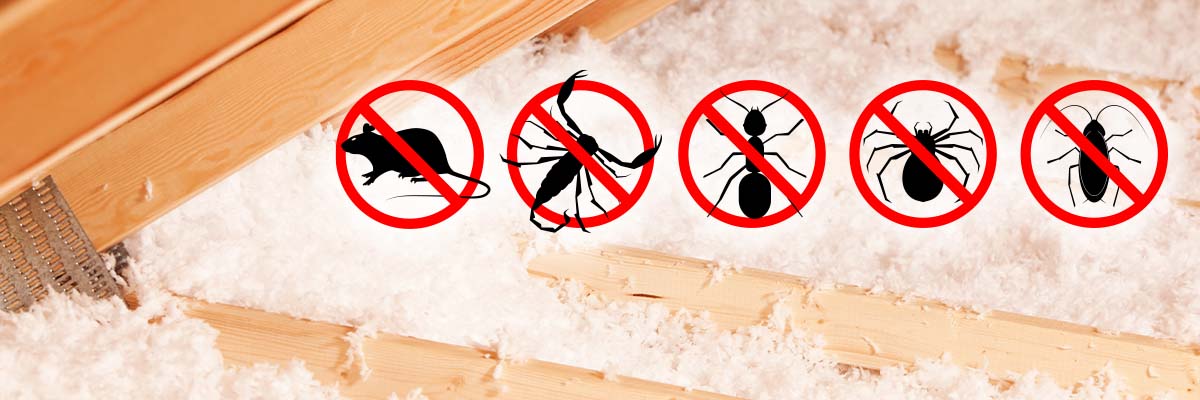 Pest Control Tips | McCoy's Building Supply