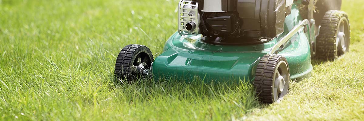 Types of Lawn Mowers: How to Pick the Best & Maintain It