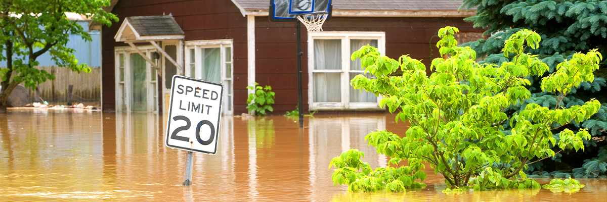 Flood Cleanup: First Steps to Reclaiming Your Home