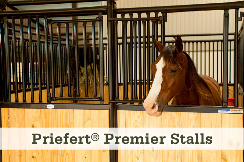 Priefert Premier Horse Stalls at McCoy's Building Supply