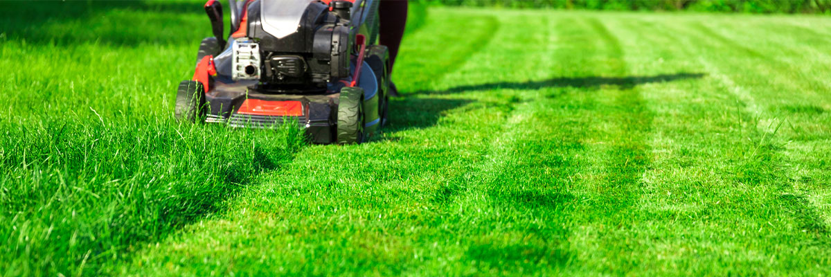 8 Tips for How to Mow a Lawn Like a Pro