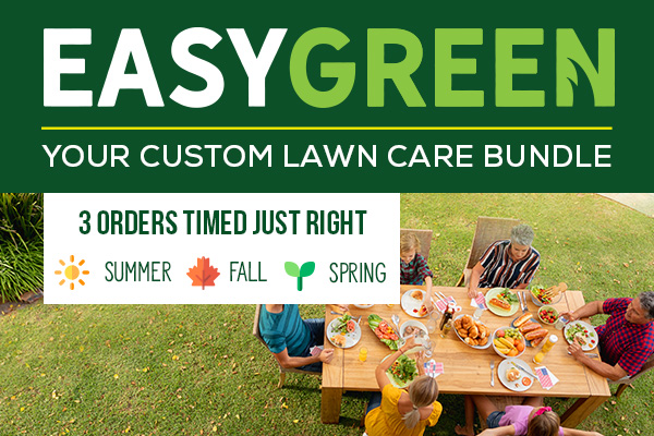 EasyGreen_LP_mobile.jpg