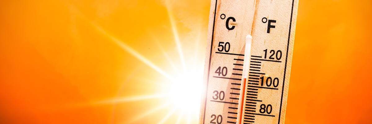 The Top 12 Tips for Working Safely in the Heat
