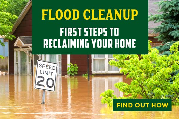 Hero_FloodRec_Mobile.jpg