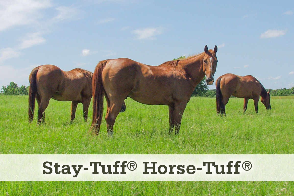 Stay-Tuff Horse-Tuff Fencing