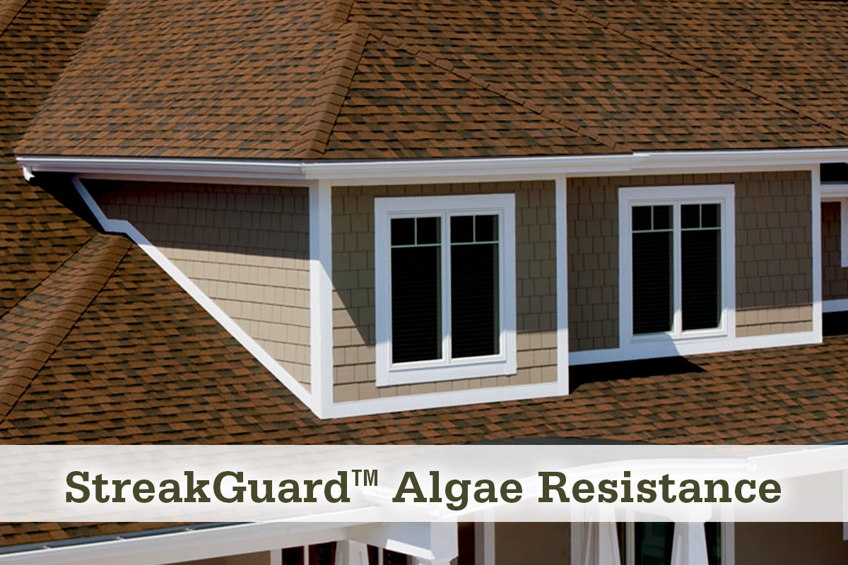 StreakGuard Algae Resistance